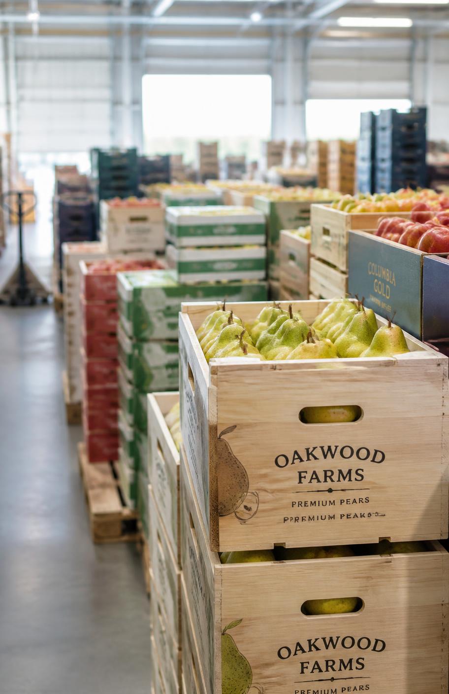 Caixas de frutas frescas em centro de distribuição