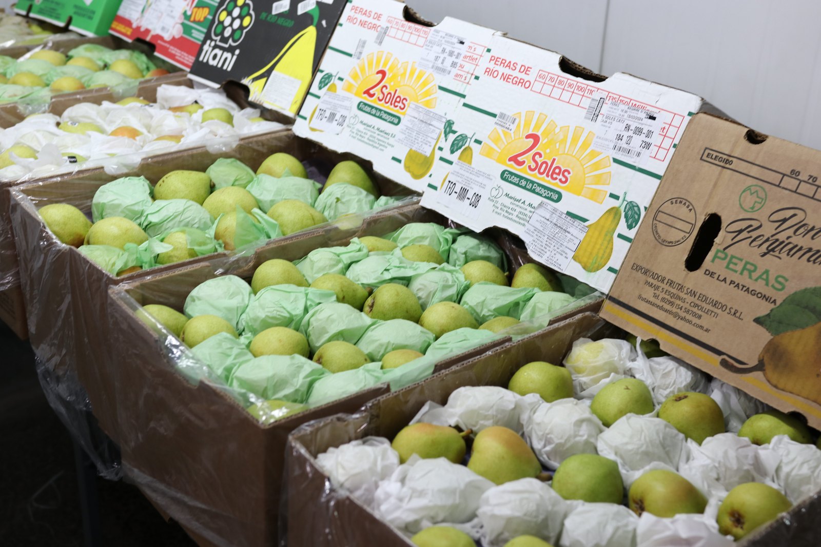 Frutas importadas em contêineres refrigerados