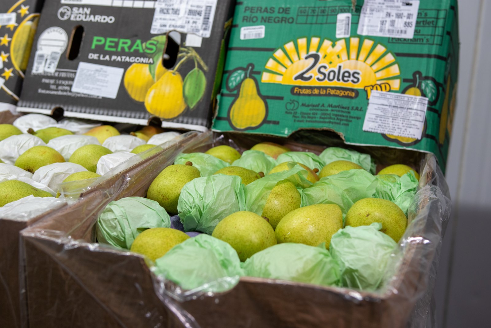 Caixas de frutas frescas selecionadas